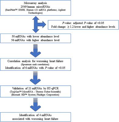 MicroRNA-183-3p Is a Predictor of Worsening Heart Failure in Adult Patients With Transposition of the Great Arteries and a Systemic Right Ventricle